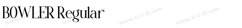 BOWLER Regular字体转换 BOWLER Regular字体转换
